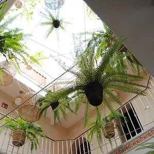 Affittacamere Cordoba, Siviglia
