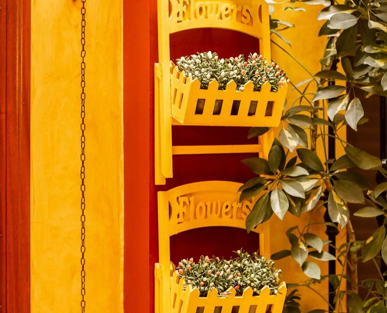 Guest house Pension Macarena Seville